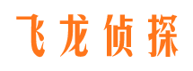 嘉鱼调查事务所